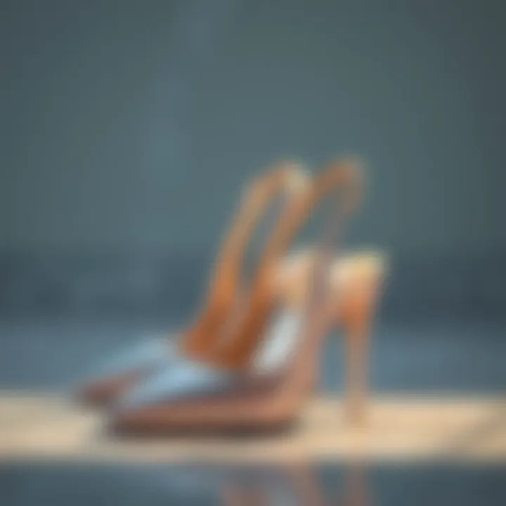 Magnificent Slingback Shoes: An In-Depth Exploration