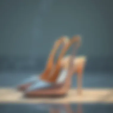 Magnificent Slingback Shoes: An In-Depth Exploration Magnificent Slingback Shoes: An In-Depth Exploration