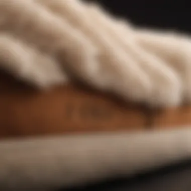 Close-up of UGG slipper material highlighting comfort and quality