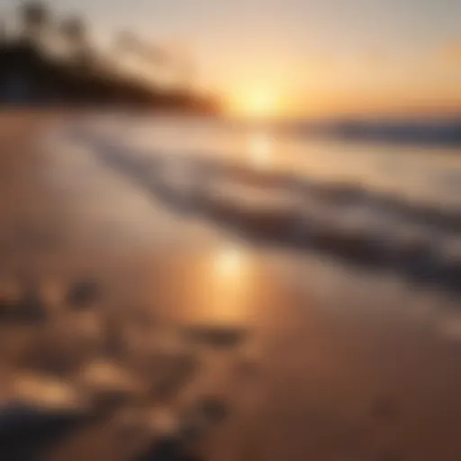 Breathtaking sunset on a serene beach