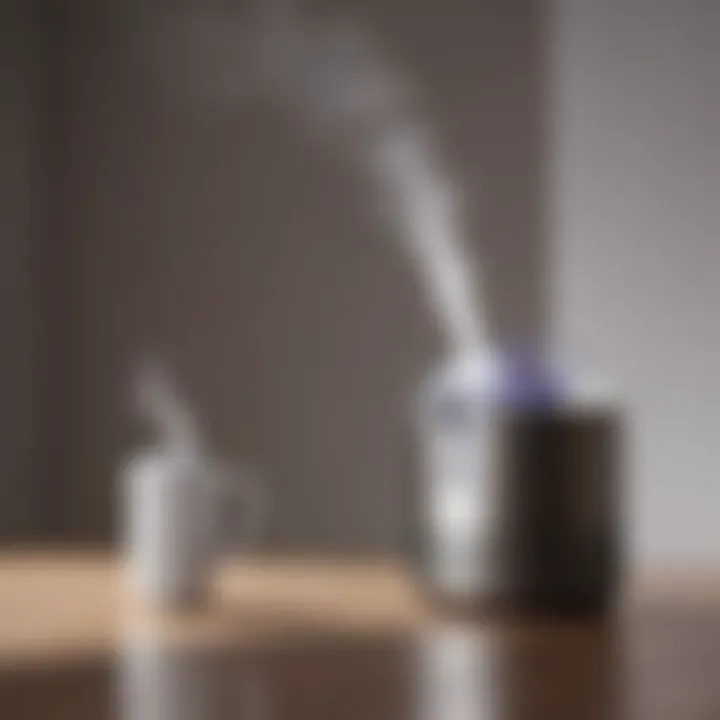 User-friendly interface of a Dyson humidifier demonstrating ease of operation