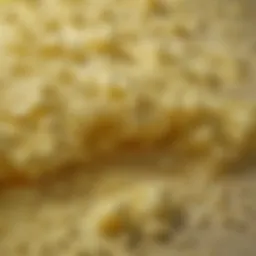 A close-up view of a sulfur wash product with its texture highlighted.