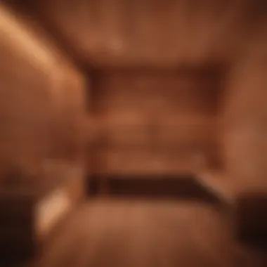 Elegant infrared sauna setup in a serene environment