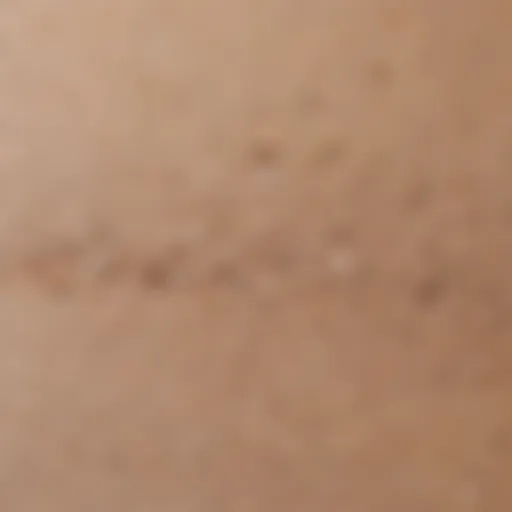 Close-up view of foundation texture on a skin swatch