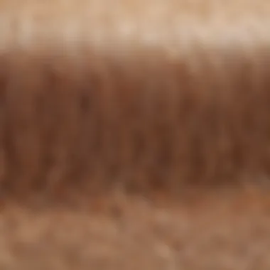 A close-up of hair follicles illustrating the impact of effective treatments.