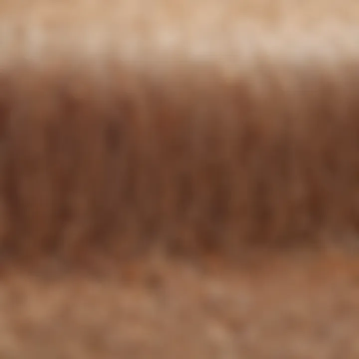 A close-up of hair follicles illustrating the impact of effective treatments.