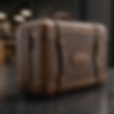 Fashion-Forward High-End Laptop Case High-end laptop case designed for fashion-forward individuals