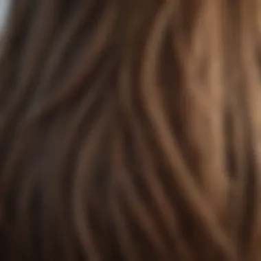 A close-up of hair strands reflecting shine and health