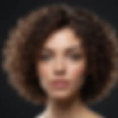 Key Ingredients for Curly Hair Care Illustration of key ingredients for curly hair care