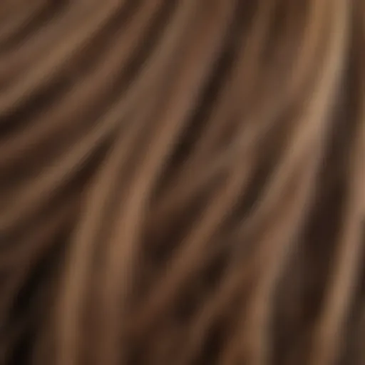 Close-up of healthy hair strands displaying shine and strength