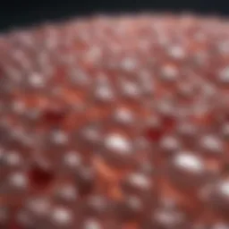 Different types of collagen supplements