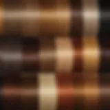 A spectrum of hair colors ranging from blonde to deep brown