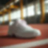 Exploring the Top Trending Tennis Shoes Introduction