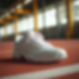 Exploring the Top Trending Tennis Shoes Introduction