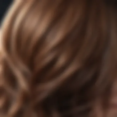 Close-up of a luxurious salon hair coloring application