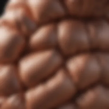 Close-up of puffer coat fabric