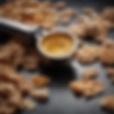 Key Ingredients of The Harmonist Close-up of key ingredients used in The Harmonist products, showcasing their natural textures and colors