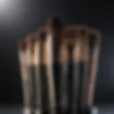 Luxurious makeup brush set displayed elegantly