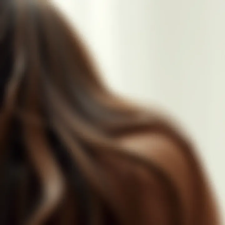 Notable Understanding Paraben and Sulfate Free Shampoo for Oily Hair