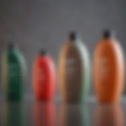 A variety of shampoo bottles showcasing different types