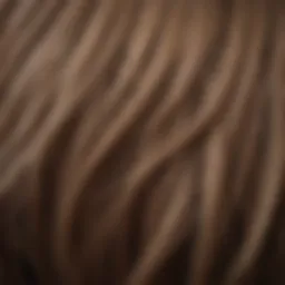 Close-up of fine hair strands showing texture