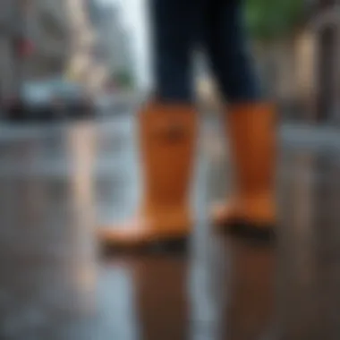 Diverse Styles of Walking Rain Boots Collection of walking rain boots showcasing various styles and colors.