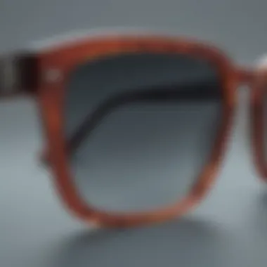Intricate Detailing of Warby Parker Sunglasses Close-up of Warby Parker sunglasses detailing